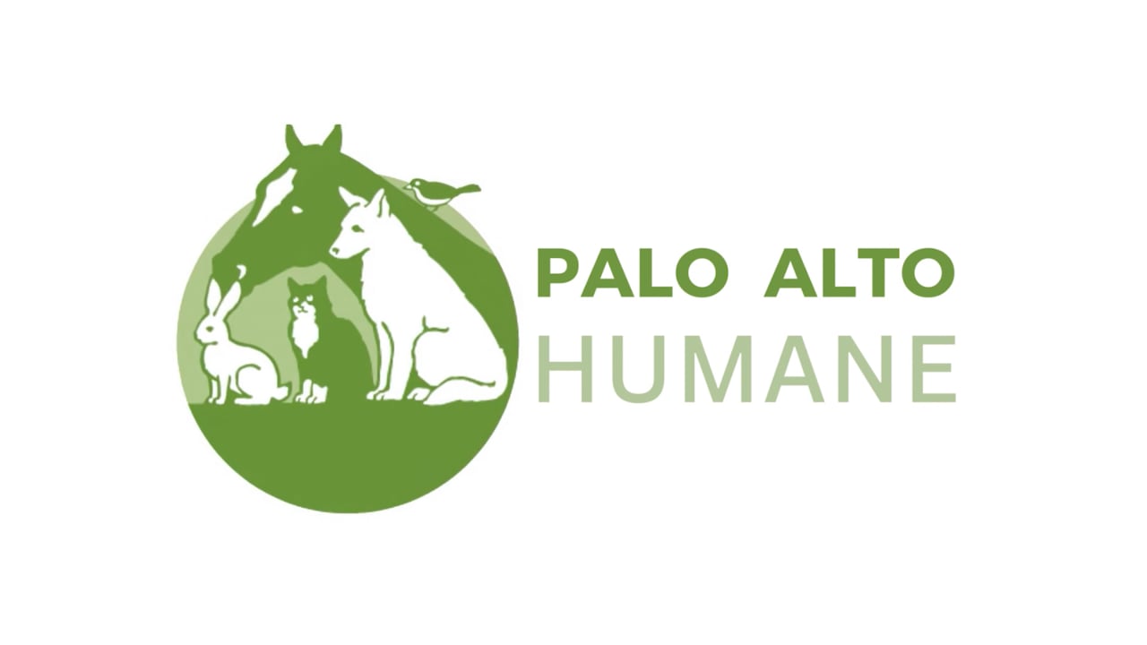 Palo Alto Humane